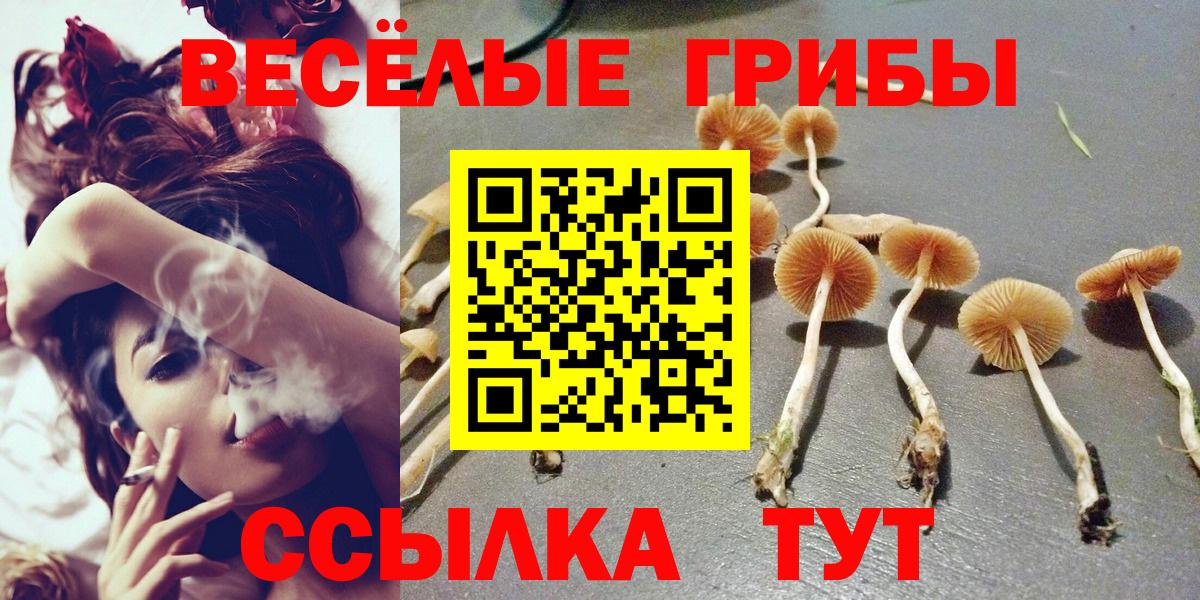 Псилоцибиновые грибы Psilocybine cubensis  Вход с VPN  Новоалтайск 