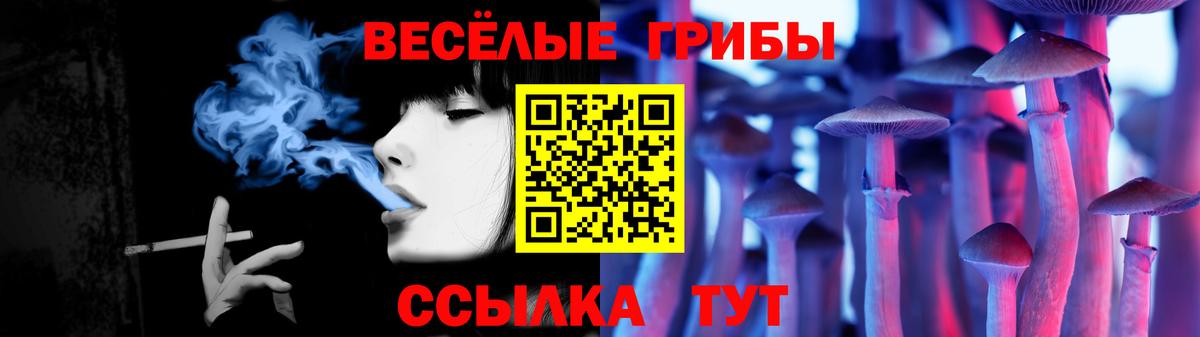 Псилоцибиновые грибы прущие грибы Новоалтайск